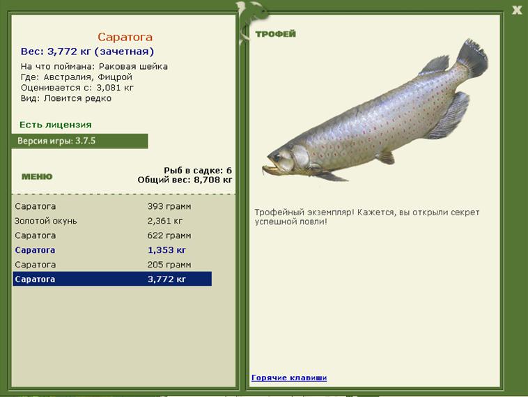 Саратога 