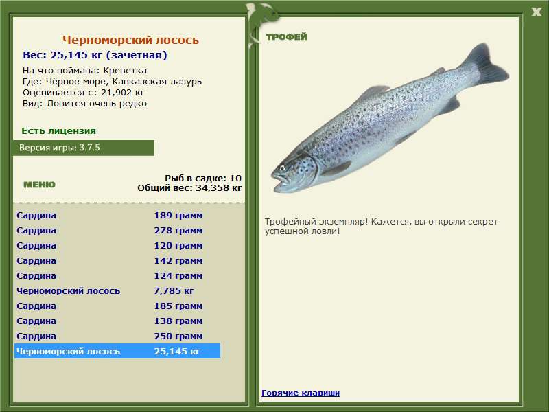 Кавказская лазурь 