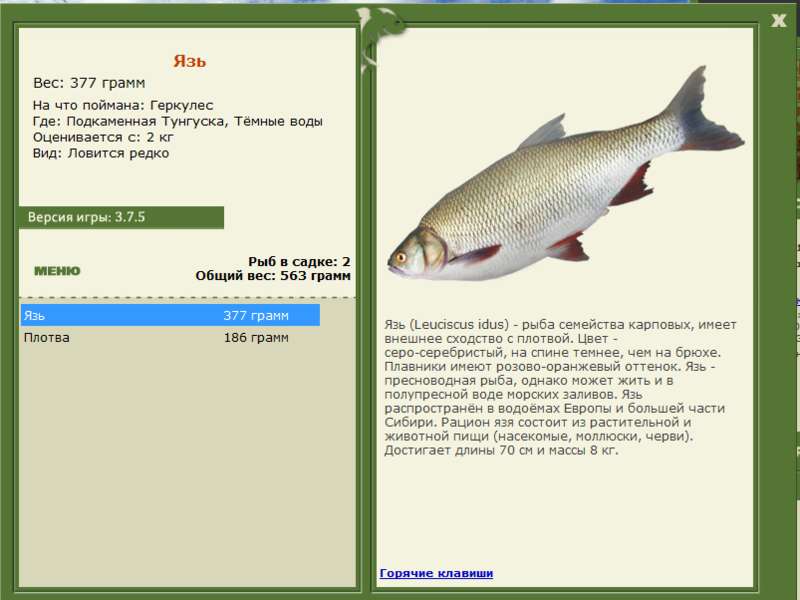 РУССКАЯ РЫБАЛКА Installsoft Edition 