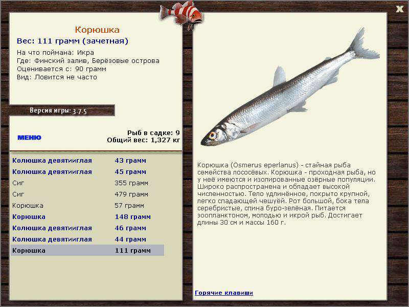 РУССКАЯ РЫБАЛКА Installsoft Edition 