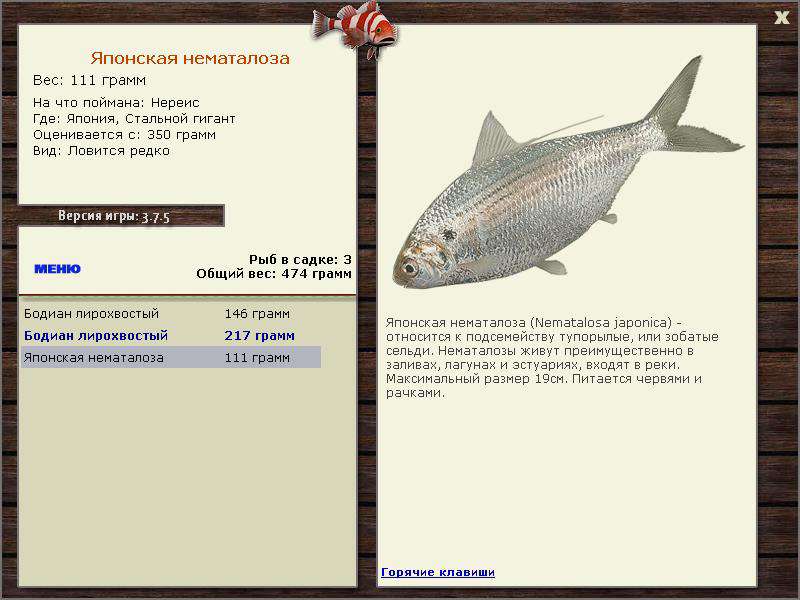 РУССКАЯ РЫБАЛКА Installsoft Edition 