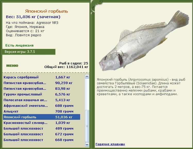Нирвана 