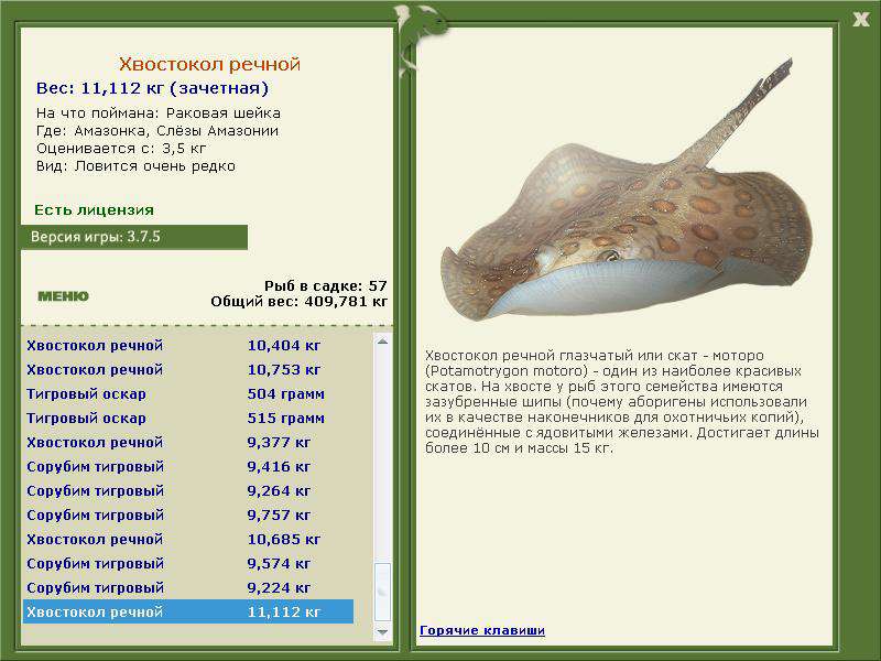 турниры • РУССКАЯ РЫБАЛКА