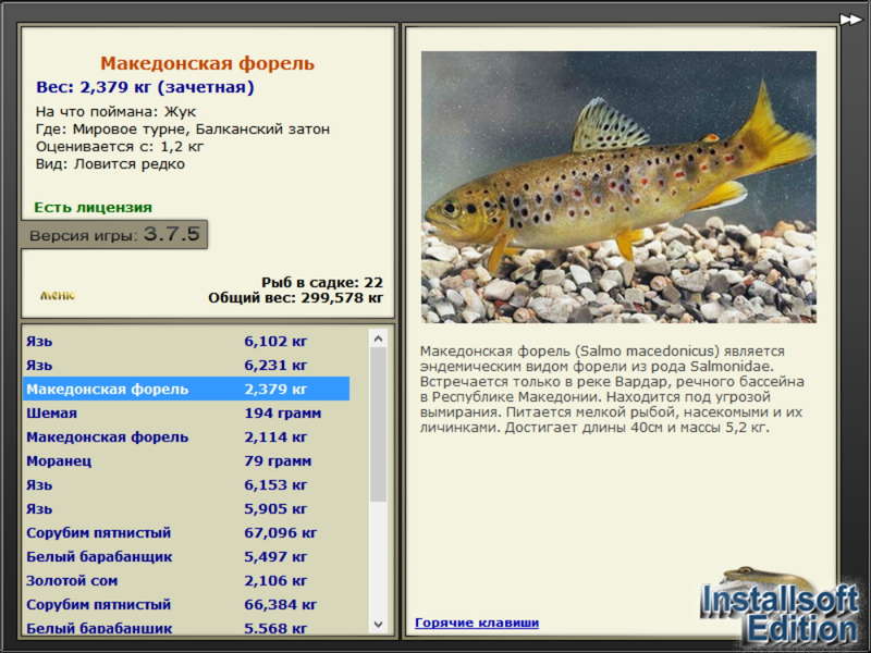 Мировое турне 