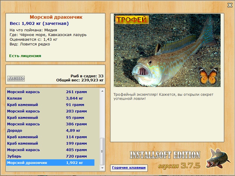 Морской дракончик 
