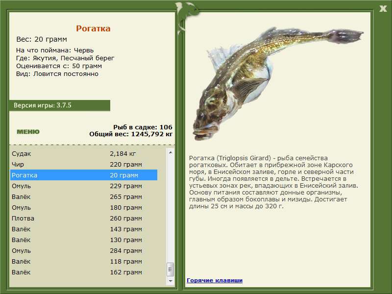 РУССКАЯ РЫБАЛКА Installsoft Edition 