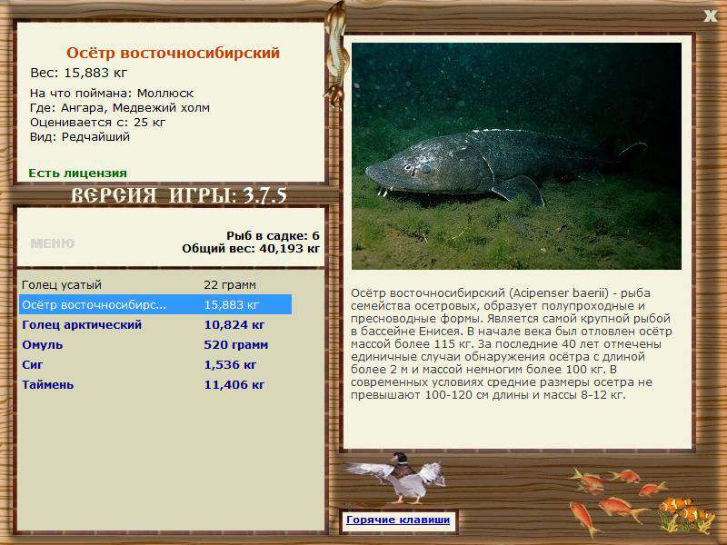 РУССКАЯ РЫБАЛКА Installsoft Edition 