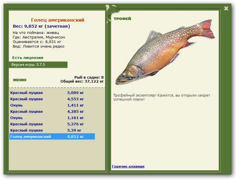 Голец американский 