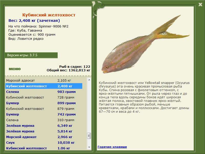 РУССКАЯ РЫБАЛКА Installsoft Edition 