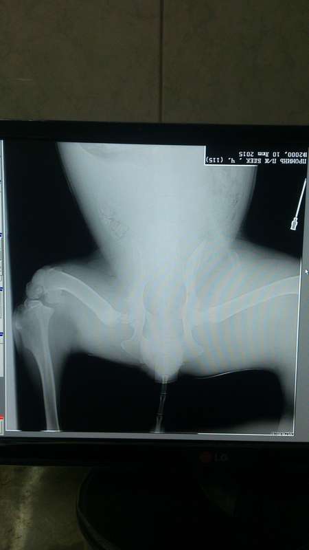  заявки на пиар в группах в ВК (только для сбора денег)