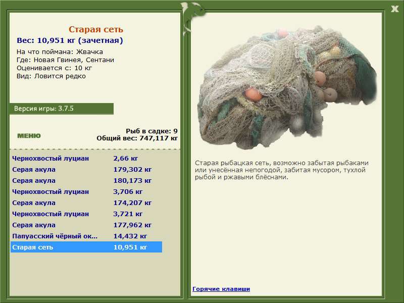 Старая сеть 