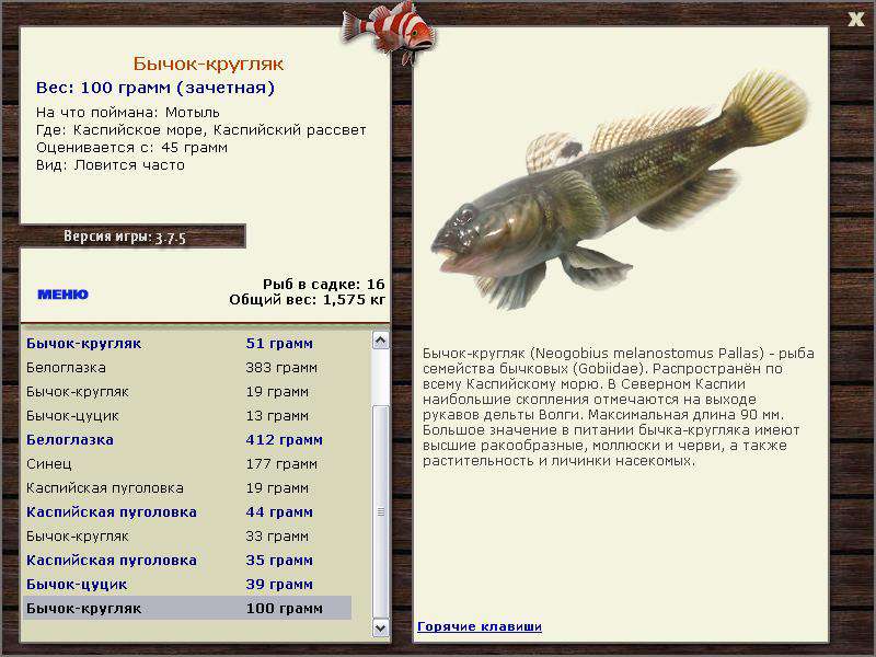 РУССКАЯ РЫБАЛКА Installsoft Edition 
