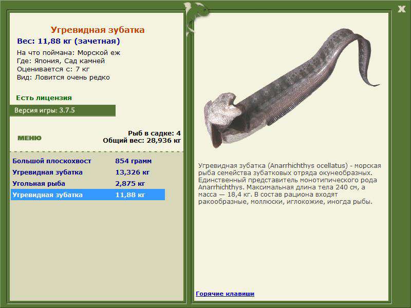 РУССКАЯ РЫБАЛКА Installsoft Edition 