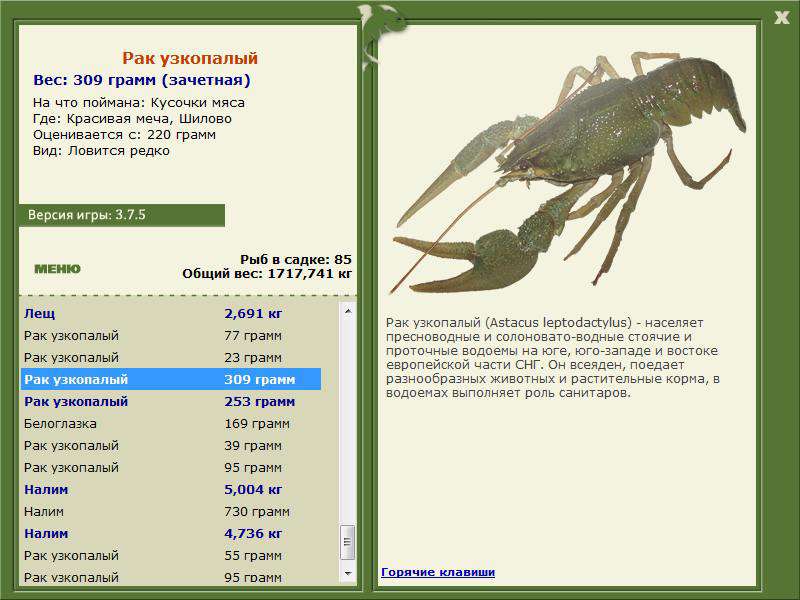 РУССКАЯ РЫБАЛКА Installsoft Edition 