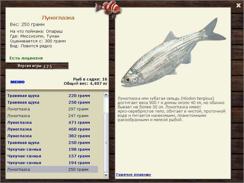 РУССКАЯ РЫБАЛКА Installsoft Edition 