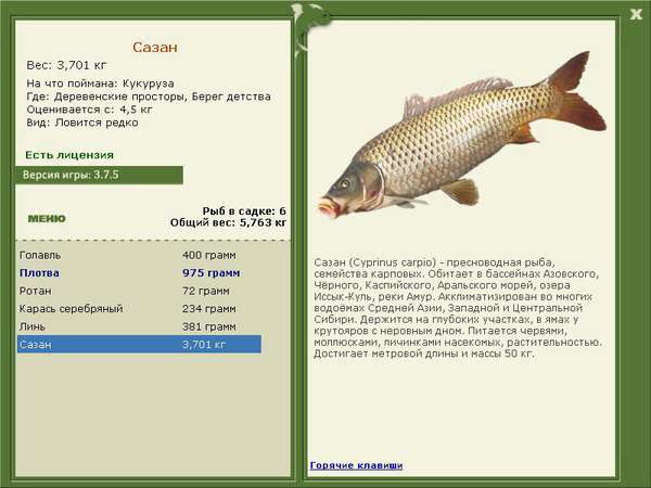 РУССКАЯ РЫБАЛКА Installsoft Edition 