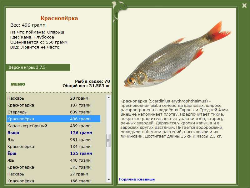 РУССКАЯ РЫБАЛКА Installsoft Edition 