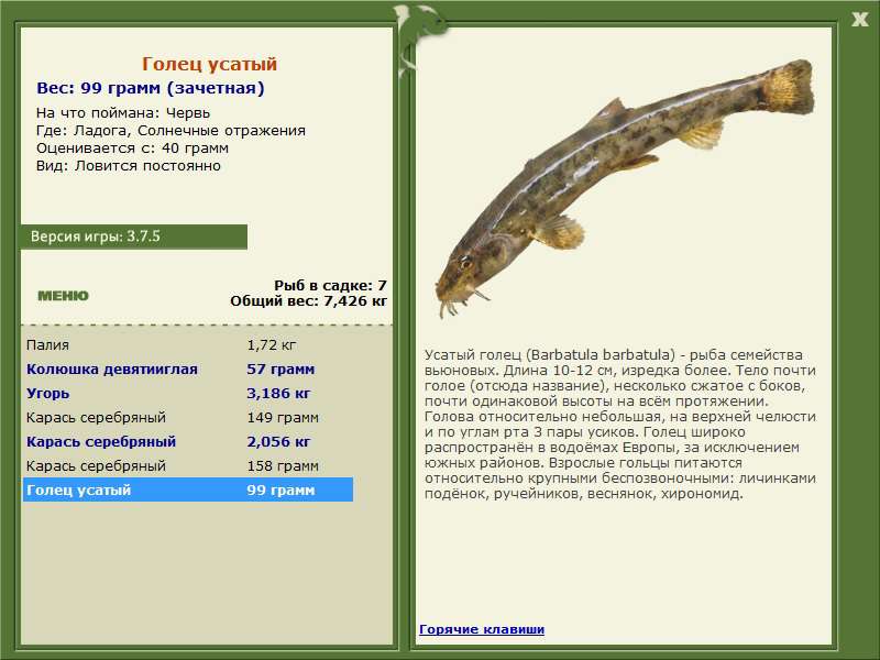 РУССКАЯ РЫБАЛКА Installsoft Edition 