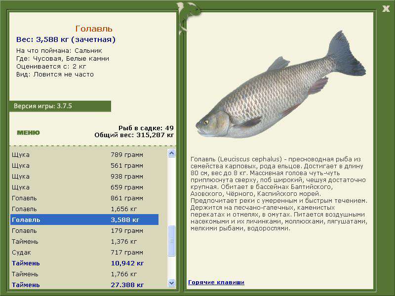 Белые камни 