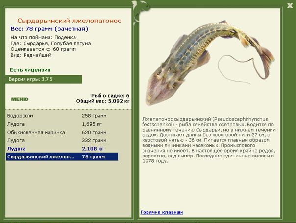 Сырдарьинский лжелопатонос 