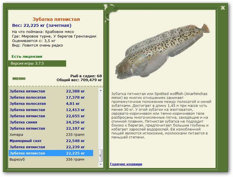турниры • РУССКАЯ РЫБАЛКА