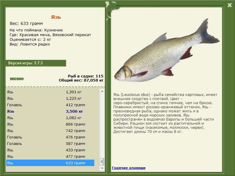 Вязовский перекат 