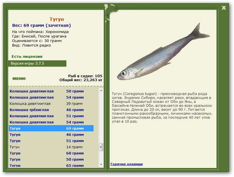турниры * РУССКАЯ РЫБАЛКА