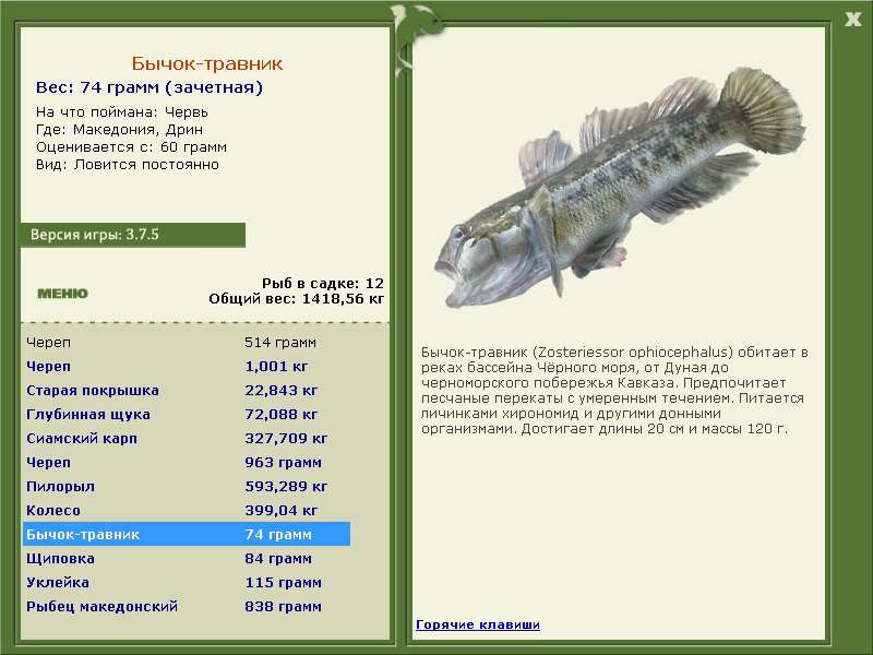 РУССКАЯ РЫБАЛКА Installsoft Edition 
