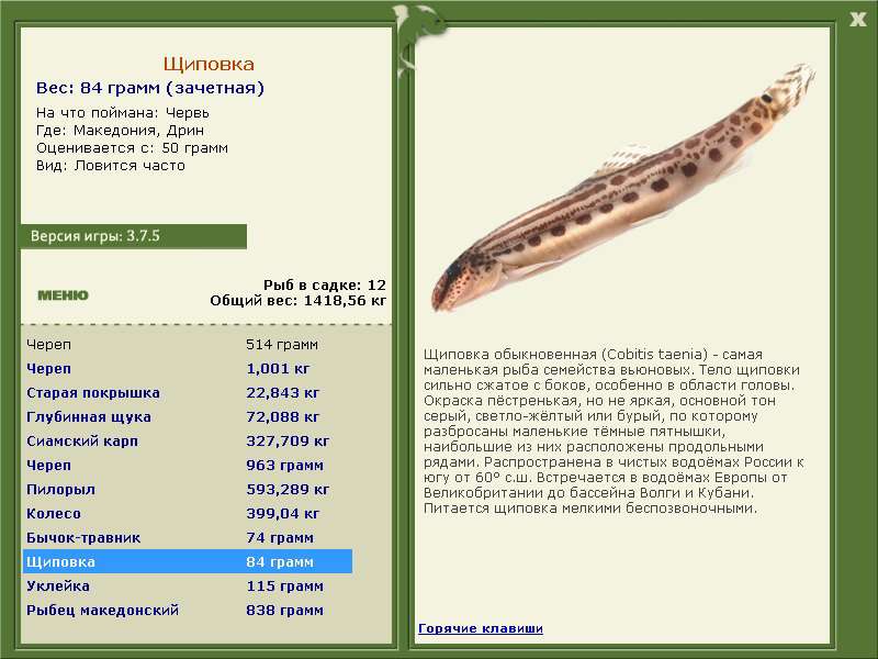 РУССКАЯ РЫБАЛКА Installsoft Edition 