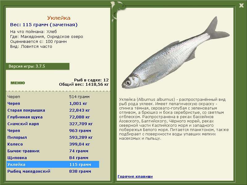 РУССКАЯ РЫБАЛКА Installsoft Edition 