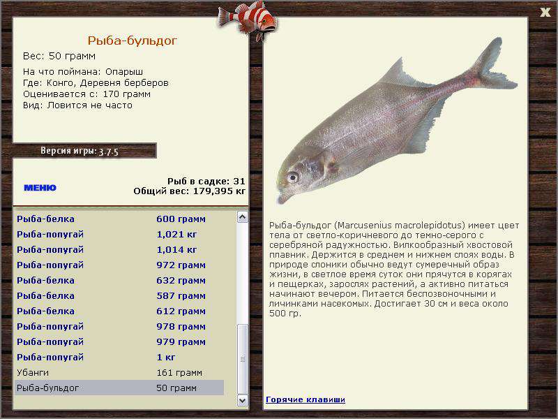 РУССКАЯ РЫБАЛКА Installsoft Edition 