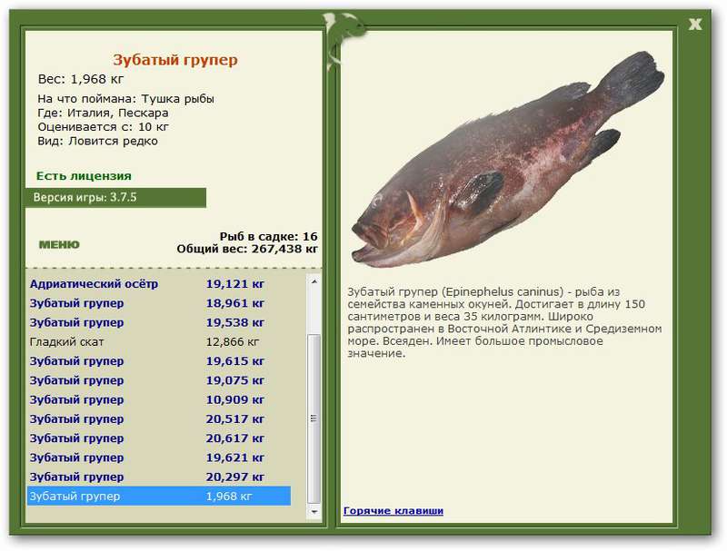 турниры • РУССКАЯ РЫБАЛКА