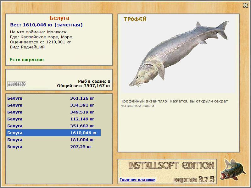 Море 