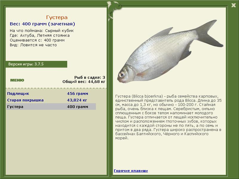 турниры • РУССКАЯ РЫБАЛКА