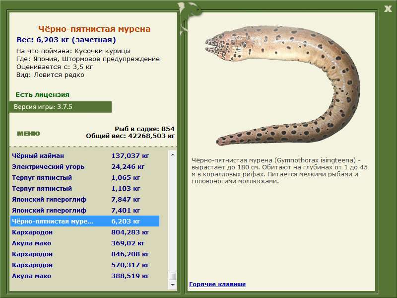 РУССКАЯ РЫБАЛКА Installsoft Edition 