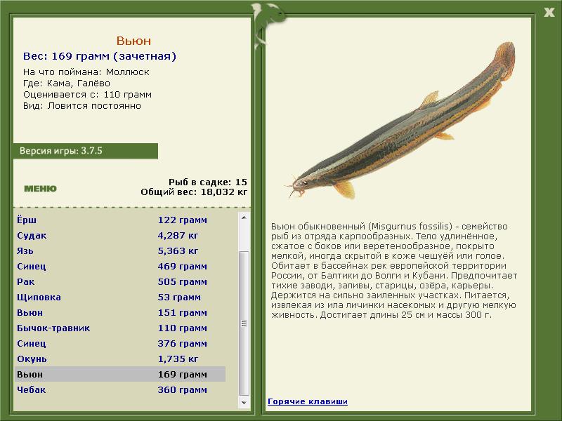 Кама 
