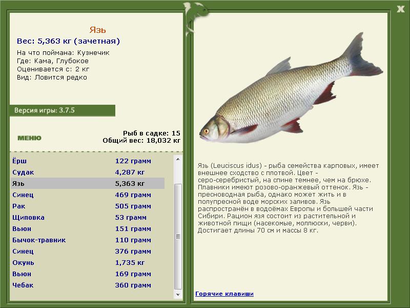Кама 