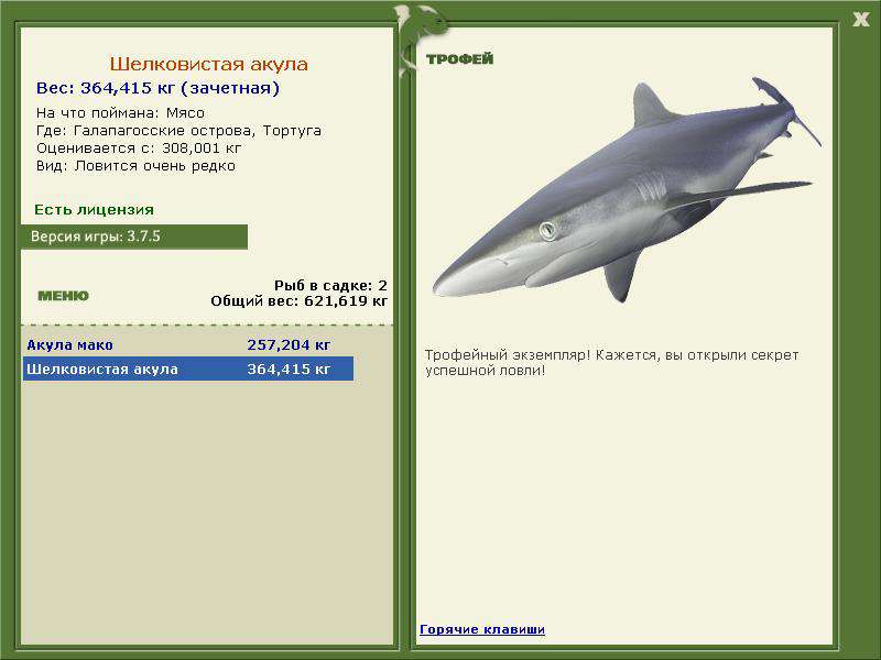 Шелковистая акула 