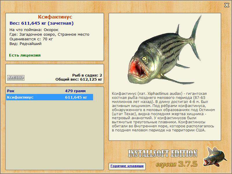Ксифактинус 