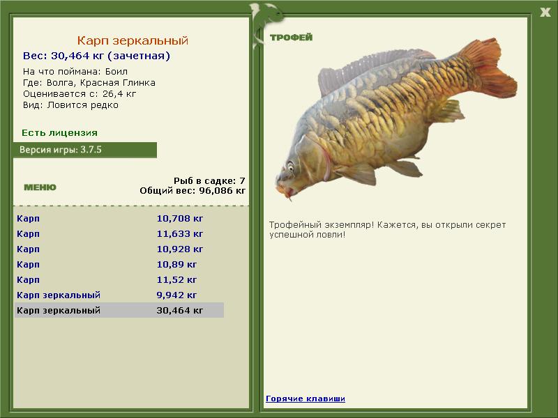 турниры • РУССКАЯ РЫБАЛКА