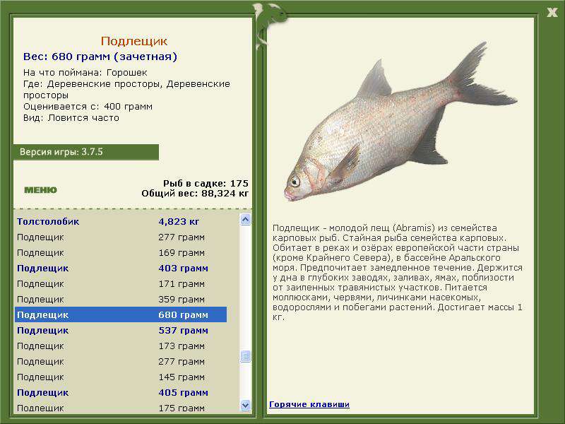 РУССКАЯ РЫБАЛКА Installsoft Edition 