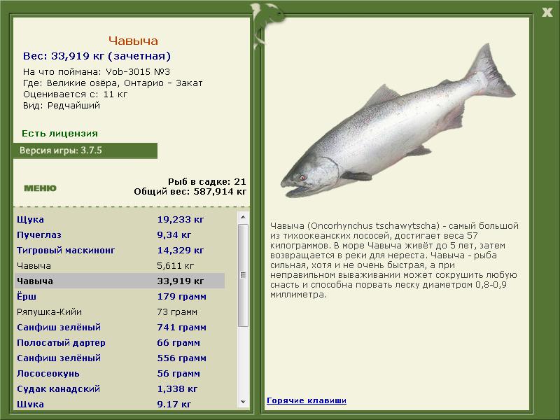 Великие озёра 