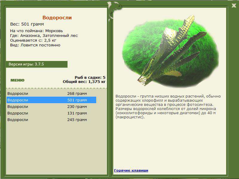 Затопленный лес 