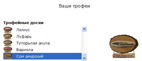 Изгиб у Каменных столбов 