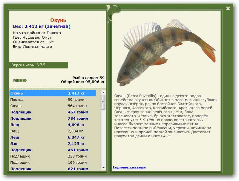 РУССКАЯ РЫБАЛКА Installsoft Edition 