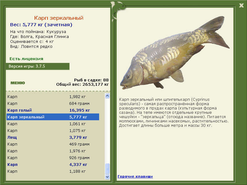 РУССКАЯ РЫБАЛКА Installsoft Edition 