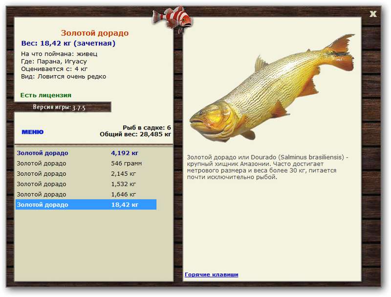 Игуасу 