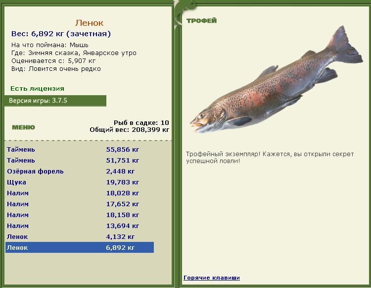 Январское утро 