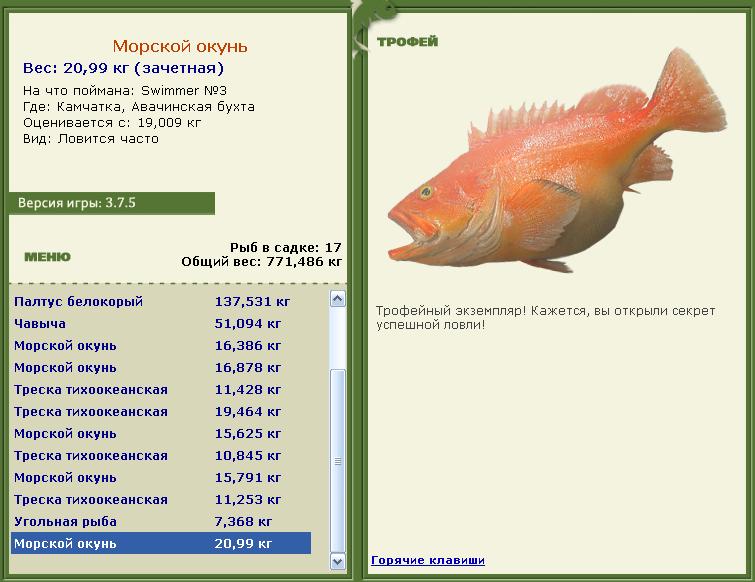 Морской окунь 