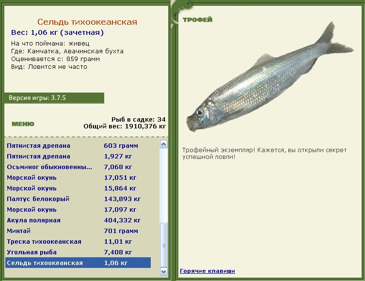 Живец 